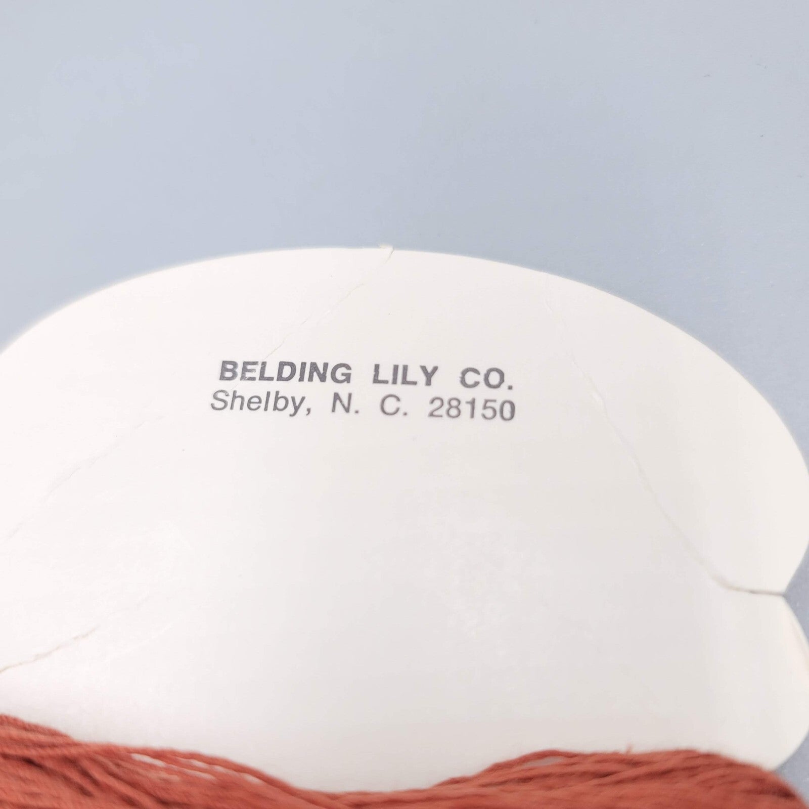 11 Skeins of Candle Wick Yarn Lily Multiple Colors